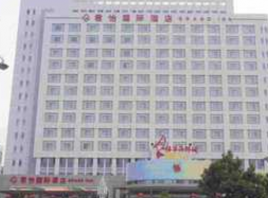 珠海十安门中央商务区喜来登国际大酒店